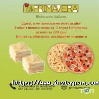Primavera Житомир фото