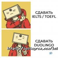 отзывы о InterStudent Company фото