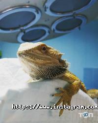 EcoCentr відгуки фото