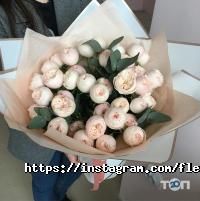 Оформление зала, доставка цветов Fleur delis фото