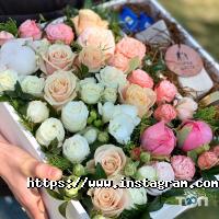 Klever Одесса фото