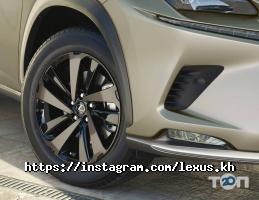 Арт-Лекс відгуки фото