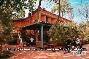 Tref відгуки фото