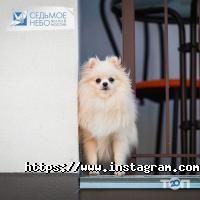 відгуки про Сьоме небо фото