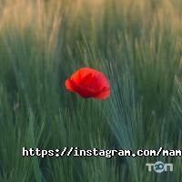 Мамин дом отзывы фото