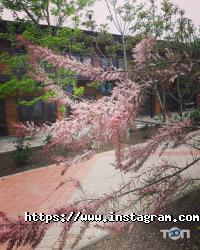 відгуки про Ельдорадо фото