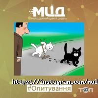 Молодіжний центр Дніпра відгуки фото