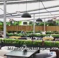 В м'ясо Полтава фото