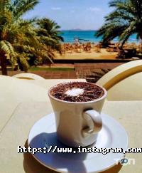 Seo-web studio відгуки фото