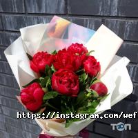 відгуки про Ми квіти фото