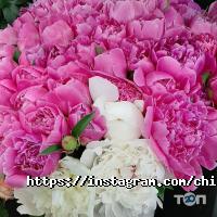 Марина flowers отзывы фото