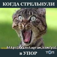 Western, пейнтбольний клуб фото
