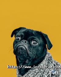 VRM Company Житомир фото