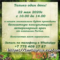 ZooM отзывы фото