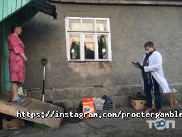 Товари для дому Procter & Gamble фото