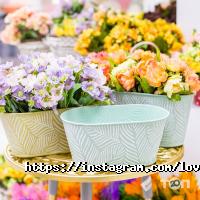 Магазины одежды и обуви LovelyДом фото