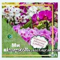 Оформлення залу, доставка квітів Земля X фото