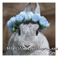 відгуки про Бегемот фото