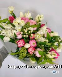 Ellis Flowers & Decor Дніпро фото