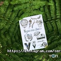 Кав'ярні та кондитерські Sereda Vegan Point фото