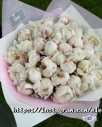 Elena flowers Дніпро фото