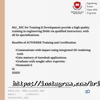 BRITISH ASTANA INSTITUTE отзывы фото