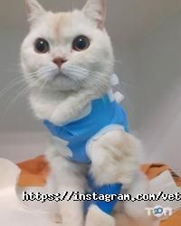 Оберіг Київ фото