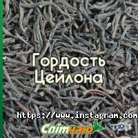 Світ Чаю Одеса фото