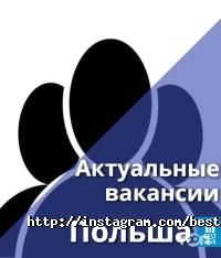 Language Universe, центр вивчення іноземних мов фото