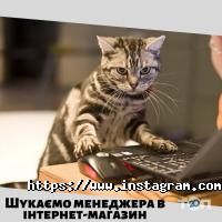 відгуки про Veliki.ua фото