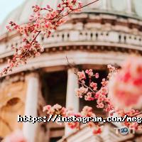 отзывы о Мега-Поліс фото