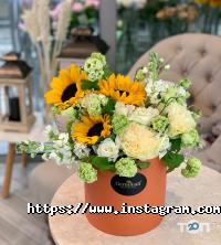 Germinall Вінниця фото