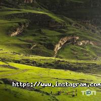 Туристические агентства, экскурсии Tour & Travel фото