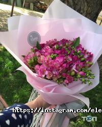Elena flowers Дніпро фото
