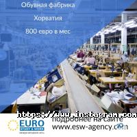 Euro Sudy & Work Київ фото