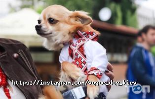 Vog Dog, Beauty Bar для тварин фото