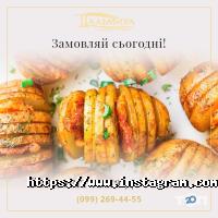 відгуки про Пальміра фото