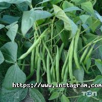 відгуки про Agrolife фото