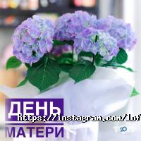 A loft of health Київ фото