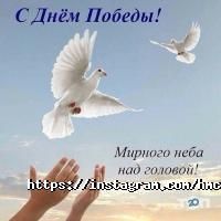 Курсы, тренинги Высший медицинский колледж фото