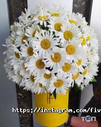 Five Flowers Дніпро фото