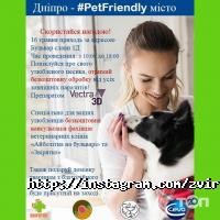 Звірятко Дніпро фото