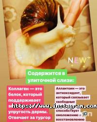 Салони краси Студія фото