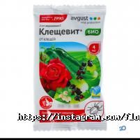 Флор де Сад Астана фото