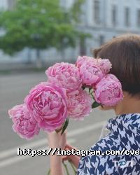 відгуки про Cvetaeva Cafe фото