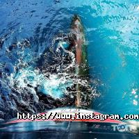 Overseas transport Ukraine Ltd відгуки фото