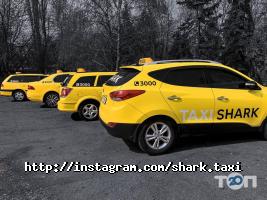 Shark taxi, мобільний додаток фото