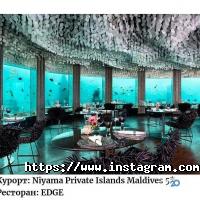 Trawell відгуки фото