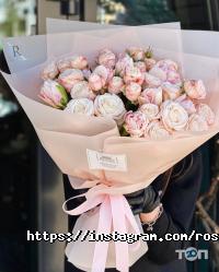 Rosse відгуки фото