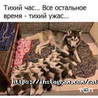 отзывы о Cat House фото